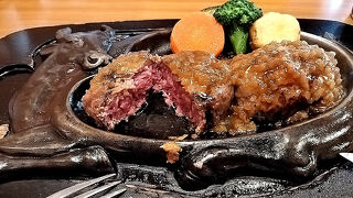 47都道府県制覇への道～年始おっさんぶらり旅～　その３　あのハンバーグを食して東海道５３次