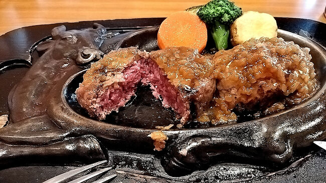 47都道府県制覇への道～年始おっさんぶらり旅～　その３　あのハンバーグを食して東海道５３次