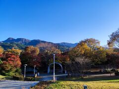 美味しい食と紅葉を求めて！沼津＆東伊豆の旅へ ①ココチホテル沼津＆「そよかぜ」でハンバーグステーキ♪