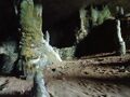 202412 ソコトラ島（７）～6日目～