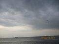 豊浜釣り桟橋１月中旬２月中旬３月中旬　さっぱりなアジ