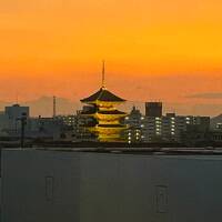 地元でお泊まり☆リーガロイヤルホテル京都で新年会　青ブタって何だ？？