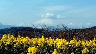 吾妻山公園