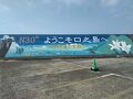 2度目の挑戦、トカラ1人旅【口之島】
