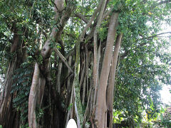 バリ島ウブド2024　備忘録（5）　「ウブド市場」と「プリ・ルキサン美術館」