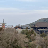 2025.1.23　木曜日　清水寺～祇園～寺町京極～清水寺