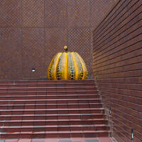 2024年どこかにマイルで行く福岡2泊3日の旅-2日目