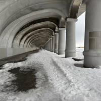 稚内再訪2025／ANAで稚内へ、宗谷本線で旭川へ