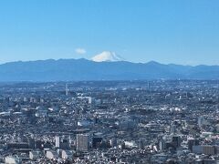 代々木に根付く歴史探索～都心を歩む,神社とスポット巡り～