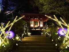 冬のザ・プリンスさくらタワー東京１泊２日ホテルステイ～今さらラウンジホッピング～