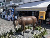 ギリシャ島旅⑤サントリーニ編