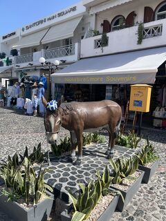 ギリシャ島旅⑤サントリーニ編