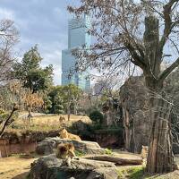 関西サ活２４－２５AW 琵琶湖ビューバレルサウナ！奈良健康ランド！天王寺動物園！