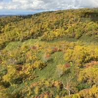 一足早い北海道の紅葉