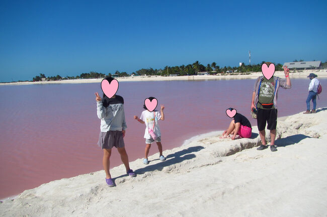 2023年2月の旅行記です<br />だいぶ間が開いてしまいました<br /><br />チチェンイッツァやピンクレイクへは<br />ウォータースポーツカンクンで申し込みました<br />フォートラベルにも店長の旅行記が載っています<br />https://4travel.jp/traveler/watersportscancun<br />店長が吉田さんという日本人なので<br />日本出発前からメールでやりとりできて安心できました<br /><br />ツアーは基本的にカンクン出発ですが<br />プラヤデルカルメンのホテルから出発をお願いすると<br />1時間追加料金で対応可能とのこと<br />午前6時にプラヤデルカルメンのホテルに迎えに来てくれて<br />午後20時にカンクンのホテルに送ってくれてチャーター終了<br />(ドライバーは午前5時にカンクン出発だからツアー15時間)<br /><br />プラヤデルカルメンからまずチチェンイッツァに行き(約2時間半)<br />セノーテを見て<br />ピンクレイク周辺でランチしてから<br />午後のピンクが濃い時間帯にピンクレイク<br />帰りはカンクンまで300㎞ 約4時間かかります<br /><br />グーグルマップでざっと全ルートを出したところ<br />トータル650㎞<br />車で8時間23分という数字に…<br />トータル650キロというと<br />茨城空港から日光・伊香保温泉・草津温泉・軽井沢・上田城・高麗神社を経由して東京の調布でレンタカー返却した距離がそれぐらいでしたが<br />その距離を1日ずっと運転はめちゃくちゃしんどいです<br />ドライバーさん本当におつかれさま&ありがとうございます!!<br /><br /><br />旅行記書くことをウォータースポーツカンクンの吉田さんにお伝えしてから<br />1年以上過ぎてしまいました<br />ツアーの件以外でもメキシコでの困りごとなどたくさんお世話になり<br />ありがとうございました<br />チチェンイッツァもピンクレイクもすばらしい景色です<br />ピンクレイクは条件がそろわないとピンクが見れない場所なので<br />長時間かけて行って見ることができて良かったです!!