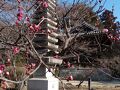 本土寺と東漸寺に参拝し、関さんの森を訪ねる（松戸市）