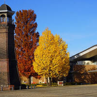群馬旅行記～2024 伊勢崎市編～