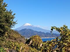 2024年12月　静岡県東部4泊、南伊豆、伊東　温泉の旅