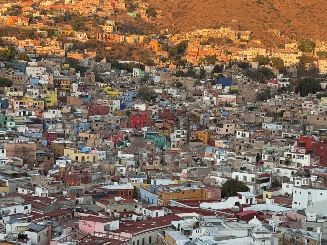 隣国なのに近くて遠い国メキシコ。在米長いですが、まだ2度しか行ったことがありません。(メキシコシティ+カンクン、カンクンのみ。アメリカ人御用達のリゾート地カンクンをメキシコと数えていいか、、。)<br /><br />昨年11月半ば、急にメキシコ旅行を思い立ちバタバタと計画しました。ビーチにもあまり興味がないお年頃なので、兼ねてから行ってみたかったコロニアル都市をいくつか巡ることにしました。<br /><br />あれこれ計画していると、希望訪問都市が地図上3角形になりました。通常ならメキシコシティIN/OUTですが、アメリカン航空のニューヨーク=メキシコシティのフライトがめちゃくちゃ時間が悪い(早朝便とか深夜便とか)。どうせ乗り換えするなら米国から直接地方都市へ入国・出国することに。そうすれば移動が一方向になります。有難いことにアメリカン航空はグアナファトやオアハカ便があります。更に都合がいいことにニューヨーク発(経由地の)ダラス行き飛行機は、我が家から便利なラグアーディア空港発。朝8時過ぎ出発ならなんとか起きれそうです。ということで以下のような旅程にしました。<br /><br />メキシコシティは25年ぶりです。実は私には40年来の旧友がメキシコシティ在住でして、今回の旅行は彼女なしでは考えられいほどお世話になりました。<br /><br />彼女からは事前にメキシコでの注意点、アドバイス、おすすめレストラン等を教えてもらい、メキシコシティではおんぶに抱っこ状態で一緒に遊んでもらいました。<br /><br />そしてもちろんここ4トラの皆さんの旅行記、特にMugieさん、clearskyさんの旅行記は大いに参考にさせて頂きました。心から感謝します。<br /><br />このメキシコ旅行は思いのほか楽しくて、ちょっと私のメキシコのイメージが変わったかも。メキシコ旅行する自信とコツがつかめた気がします。いつか他のコロニアル都市も訪れたくなりました。<br /><br /><スケジュール><br />★1/21 ニューヨークLGA - ダラスDFW - グアナファトBJX (アメリカン航空)<br /> 2泊 ( Edelmira Hotel Boutique ) <br />☆1/23 サンミゲル・デ・アジェンデへ移動 ( Primera Plus Bus )<br /> 1泊 ( Casa 1810 Centro Hotel Boutique )<br />☆1/24 メキシコシティへ移動 ( Primera Plus Bus ) <br /> 3泊(Andaz Mexico City Condesa)<br />☆1/27 オアハカへ移動 (アエロメヒコ航空) <br /> 3泊(Casa Antonieta )<br />☆1/30 オアハカOAX - ダラスDFW - ニューヨークLGA(アメリカン航空)<br /><br /><主な旅費><br />アメリカン航空往復:US$570<br />アエロメヒコ MEX→ OAX : US$90<br />Primere Plus Bus グアナファト→サン・ミゲル・デ・アジェンデ :216ペソ<br />Primere Plus Bus サンミゲル・デ・アジェンデ→メキシコシティ:689ペソ <br /><br />eSIM カード :Airallo メキシコ 15日2GB : US$11.5<br /><br />ホテル代は手持ちのカードのポイントを大放出し全泊無料宿泊になりました。(これはかなり助かりました! )<br /><br />$1 = 20 ペソで大体計算してます。(1ペソ=7.5円で合ってますか?) <br />