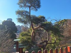 山手線沿線の下町文化とふれあうウォーキング　
