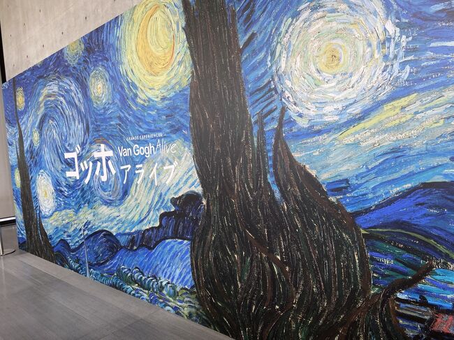 日帰り観光バスに乗って、舞洲ネモフィラ祭り、神戸に移動して、神戸ステーキのランチ、南京町、兵庫県立美術館でのゴッホアラブ鑑賞して楽しい1日を過ごしてきました。