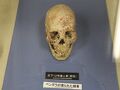 米子周辺観光　米子市福市考古資料館　本宮の泉　淀江どんぐり村