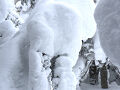 最強寒波襲来でスノーモンスター見れず、帰りは遠刈田温泉で極上雪見露天風呂