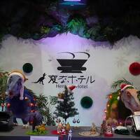 ANAスイートラウンジ（羽田・伊丹・福岡）満喫旅行 4日目　ANAクラウンPの朝食、大宰府、博多ラーメン、変なホテル泊 編