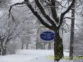 この冬初めての雪景色を求めて蔵王方面へ　その1　宮城蔵王の麓へ