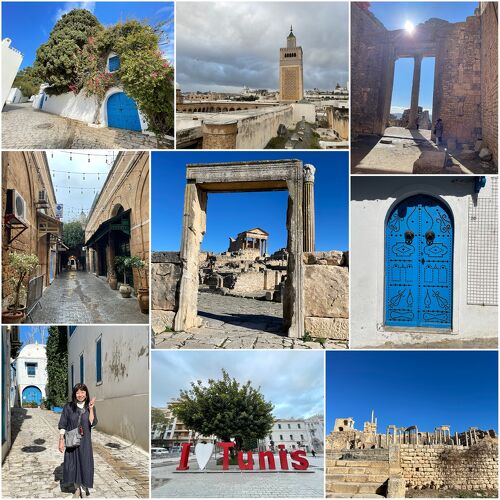 チュニジア　モザイクタイル画　女神 チュニジア モザイクタイル画 女神 2025年2月 魅惑のチュニジア8