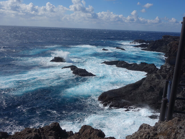 石廊崎。岩と波がつくる景色がすばらしい。絶景です。<br />2009年2月21日以来です。そのブログ。<br />https://4travel.jp/travelogue/10313875#google_vignette<br />当時は石廊崎オーシャンパークなどなく、下の駐車場から坂道を登ったものです。