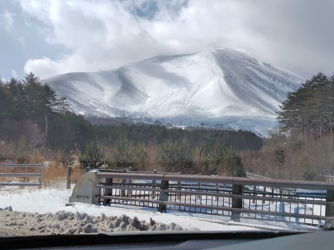 全国を大寒波が襲い「不要不急の外出は避けて」と言われているのに出かけてしまいました。