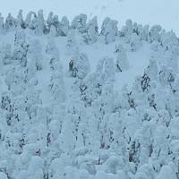 山形旅行一泊目は樹氷を見に蔵王へ