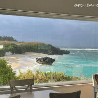 暖と猫とのふれあいを求めて南の島に避寒旅★【1】プリシアリゾートヨロン（2025）