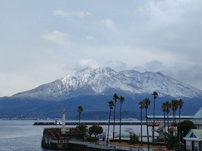 JAL のキャンペーンで、安いチケットをゲット。<br />鹿児島へ行ってきました。<br />予約した時にはこんなに寒くなり、まさか雪が降るとは思いませんでした。<br />帰りの便が出るかちょっとドキドキしましたが、無事予定通り帰ってこれました。<br />桜島を見たのは初めてでしたが、私の中では雪の桜島がイメージとして残りました。