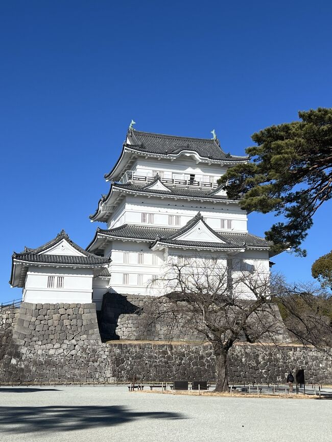 11日の祝日、お天気も良さそうだし、どこか出かけたいね~どこに行こうか?<br />と、いつものようにどこへ行くか迷う私達^^;<br /><br />前日の夜になり小田原城にでも行ってみようか?ってことで行くことに。<br /><br />湘南新宿ラインに乗ってのんびり小田原へ向かいました。