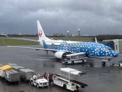 那覇で過ごす親孝行　2025