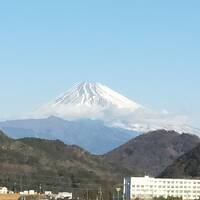 ☆ 極寒の静岡 伊豆長岡温泉と箱根 ☆ 2025年2月 サンバレーアネックスと富士見 No.2 