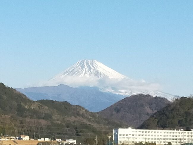 今回は 金城館に2泊 サンバレーアネックスに2泊 サンバレー 富士見に一泊 箱根に一泊です。 その中で一番気に入ったホテルは サンバレー富士見でした。 箱根のホテルも 良かったのですが 残念ながら お風呂が寒かったのです。 時期を変えれば良いかもしれませんが 周りには 何もありませんでした。 山の中腹に立っているホテルでした。 最近は観光よりも ホテルを楽しむ というスタイルに変わってきました。 温泉に入って 街のスーパーに行ったり 散歩したり そんな ゆるい旅が好きになってきました。 静岡といえば みかん しかし今年はみかんが高騰してしまい 静岡で美味しいみかんを食べれることを楽しみにしていました。 駅ビルで高いみかんを買ったけど 酸味も強くて 値段 ほどではないと思いました。 その中で一番美味しかったのが 道路を歩いている時に 家の 玄関先で売っている 無人販売のみかんでした。 不揃いのみかんでしたが 100円 という安さで 美味しくなければ ジュースにして飲もうと思い 買ってみたら それがなんとすごく甘くて美味しかったのです。 大きいみかん よりも小さいみかんの方が甘みが強くて 美味しかったです。 何気なく 買ったみかん と出会わせてくれたことに感謝です。