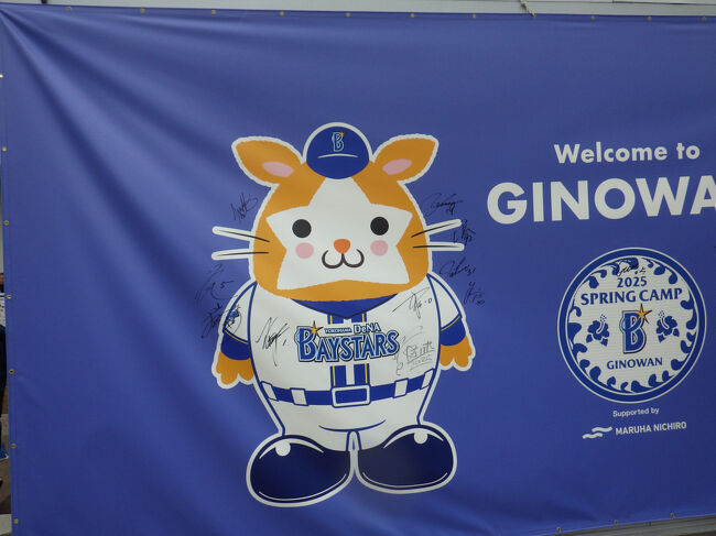 ベイスターズ日本一記念にと、初めて春季キャンプの見学に、2月の沖縄へ行ってきました。残念ながら目当ての練習試合は中止でしたが、他に発見の多い旅でした。この季節に沖縄に来るのは初めてですが、初日と3日目は晴れて23℃くらいで暖かでしたが、2日目は雨で15℃くらいで寒かった。この時期の沖縄はオフシーズンと思ったが、海外のお客さんやキャンプ見学や修学旅行で、とても観光客が多かったのでした。