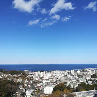 初めての伊東温泉②