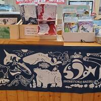 流氷のない(残念！)流氷ツアー2