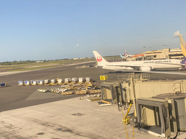 特典航空券でハワイへ。帰国編。<br />ダニエル・K・イノウエ国際空港では、ラウンジを2か所、巡りました。<br />ビジネスクラス往復6万マイルで発券した、ホノルル往復ですが、このマイル数は最後かな?<br />物価だけでなく、マイルインフレも、やってきている…。
