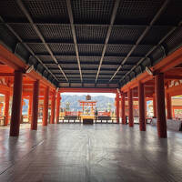 修学旅行の再訪！！