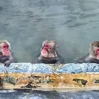 なんまらしばれる冬の函館(;´д｀) 寒いと言うよりも・・痛～い！！(ﾟДﾟ;)　温泉露天風呂最高～☆彡湯の川温泉編