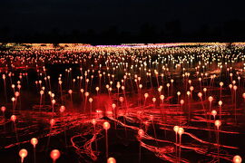 【2/9-15 オーストラリア】初めてのオーストラリア旅行はシドニーとウルルへ（3）ウルル1日目編