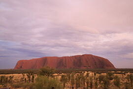 【2/9-15 オーストラリア】初めてのオーストラリア旅行はシドニーとウルルへ（4）ウルル2日目+帰国編