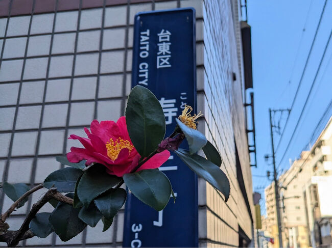 2月10日(月)<br /><br />今日は最終日、飛行機は16時55分。<br />どこか美術館に行こうと思ったけれど、今日は月曜日でした。<br />朝から蔵前~浅草界隈を歩こうかな!<br /><br />ライブは終わってしまったけれどもう少し楽しみます。