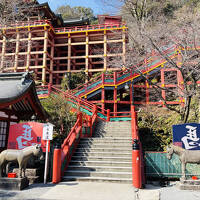 日本三大美肌の湯 嬉野温泉を堪能して　日本三大稲荷 祐徳稲荷神社 と 大魚神社の海中鳥居 ☆彡