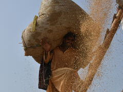 『夕日・朝日』『朝霧のモヘンジョダロ遺跡』『煙る煉瓦工場』『デコトラ籾殻積込現場』など"パキスタン南部はみどころいっぱい"【南部編NO4】